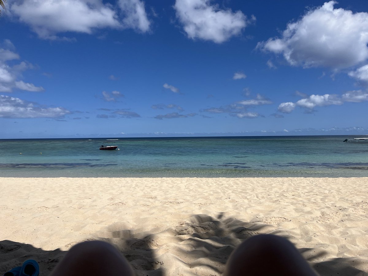 SuzanneWindrid2's tweet photo. Today’s view ☀️🏖️⛱️🏝️ https://t.co/L5sN8VBZT0