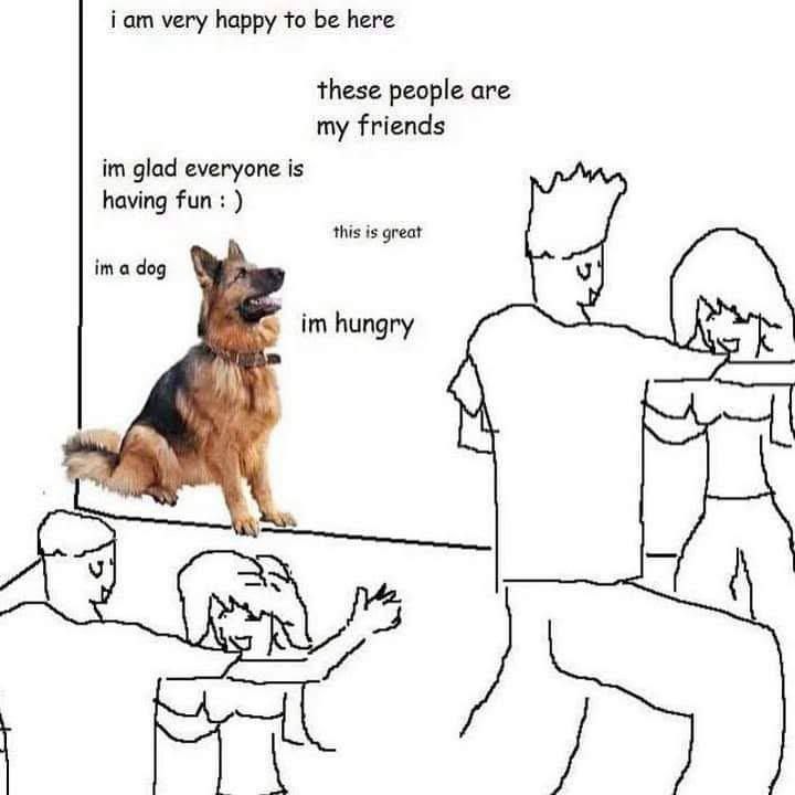 This is me at parties btw