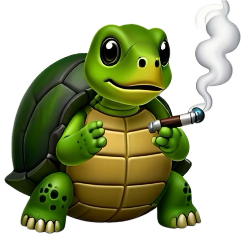 Cent6900's tweet photo. Really it’s just going to be an ongoing session, or sessions as one could say 🎶

#solana #memecoin #iliketurtles #mindenterprises #trenches https://t.co/Mgx9bKqTu6