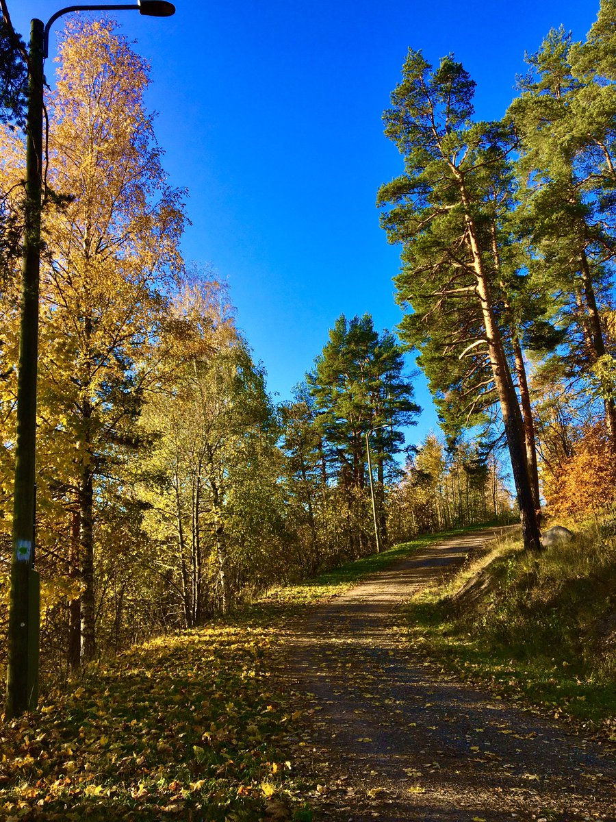 ~ Torstai on jällleen toivoa täynnä ~ #lokakuu #october  #salpasselkä  💙🤍🍂💜🧡