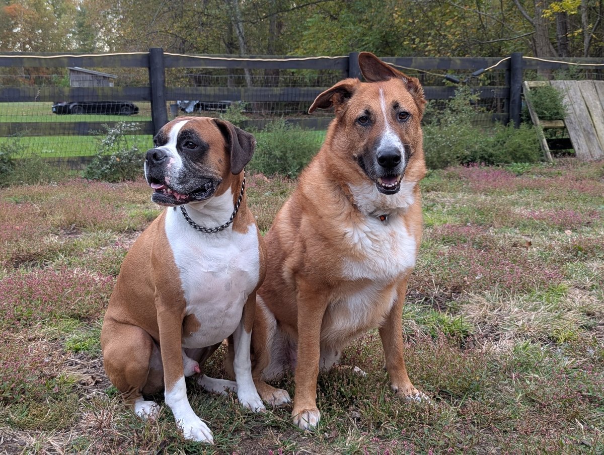 ChanceAndJack's tweet photo. Update for everyone: The boys are doing amazing. I started chemotherapy, and all is well so far. Thanks for all the well wishes and prayers. -Mom https://t.co/QGqIM7S717