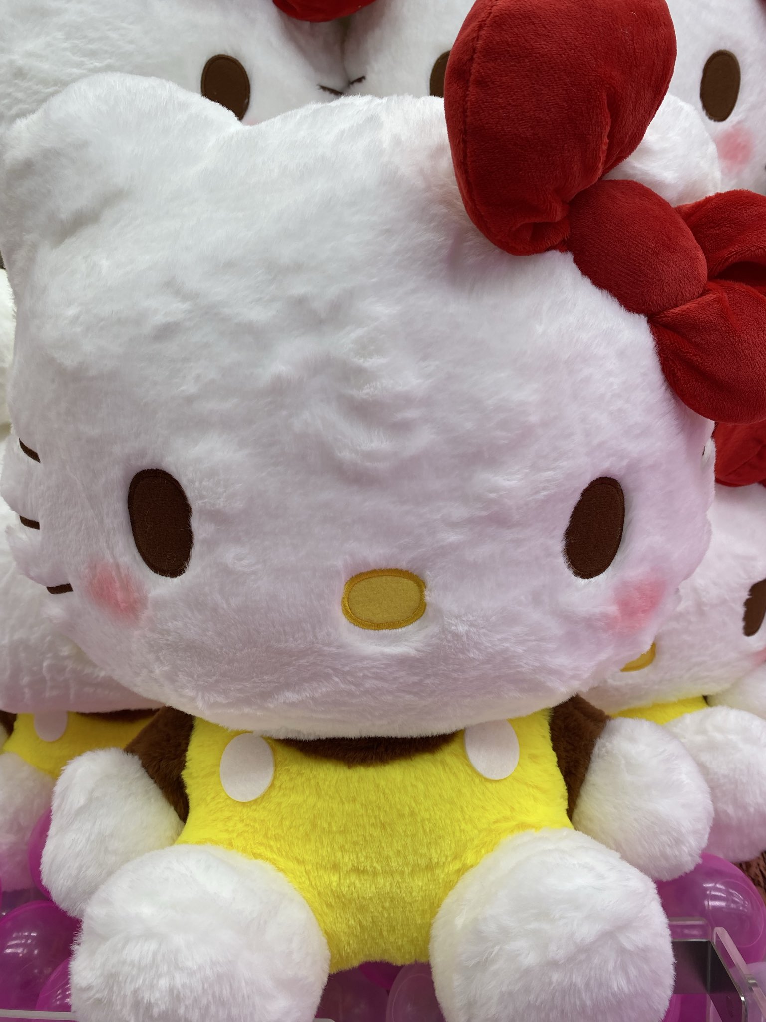 タイステ 広島本通 on X: 