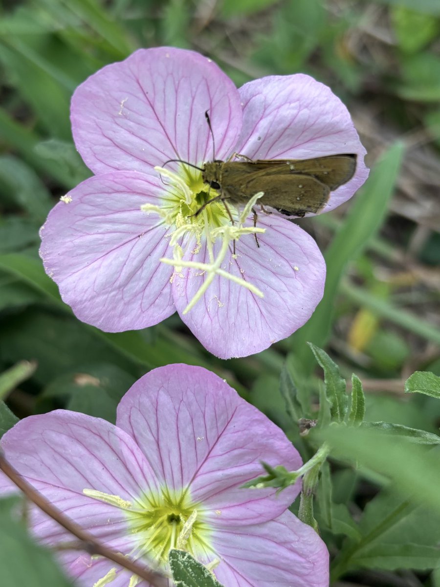 jLsEFBBJl071803's tweet image. 「希望はいいものだ、決して失われない」(Hope is a good thing. Maybe the best of things. And no good thing ever dies.
　　映画「ショーシャンクの空」より
1画像
映画「The Shawshank Redemption」
＃TimRobbins
氏生誕日
youtu.be/Wm73V885l-Y?si… @YouTube

＃兵庫県神戸市

眠💦
良き午後を🍁