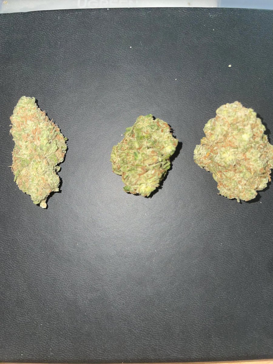 🎁プレゼント企画🎁

🥦L.A KUSH🤤‼️

極蜜お配りします〜🤲

参加方法
・フォロー
・RT ・いいね
・ch登録 

signal.group/#CjQKIH-bYyTkb…

沢山の参加待ってます!!