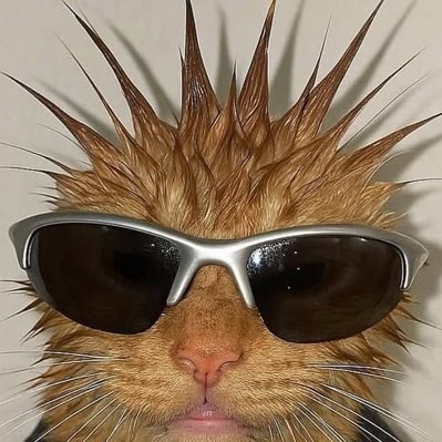 bulishrimp's tweet image. #NewProfilePic