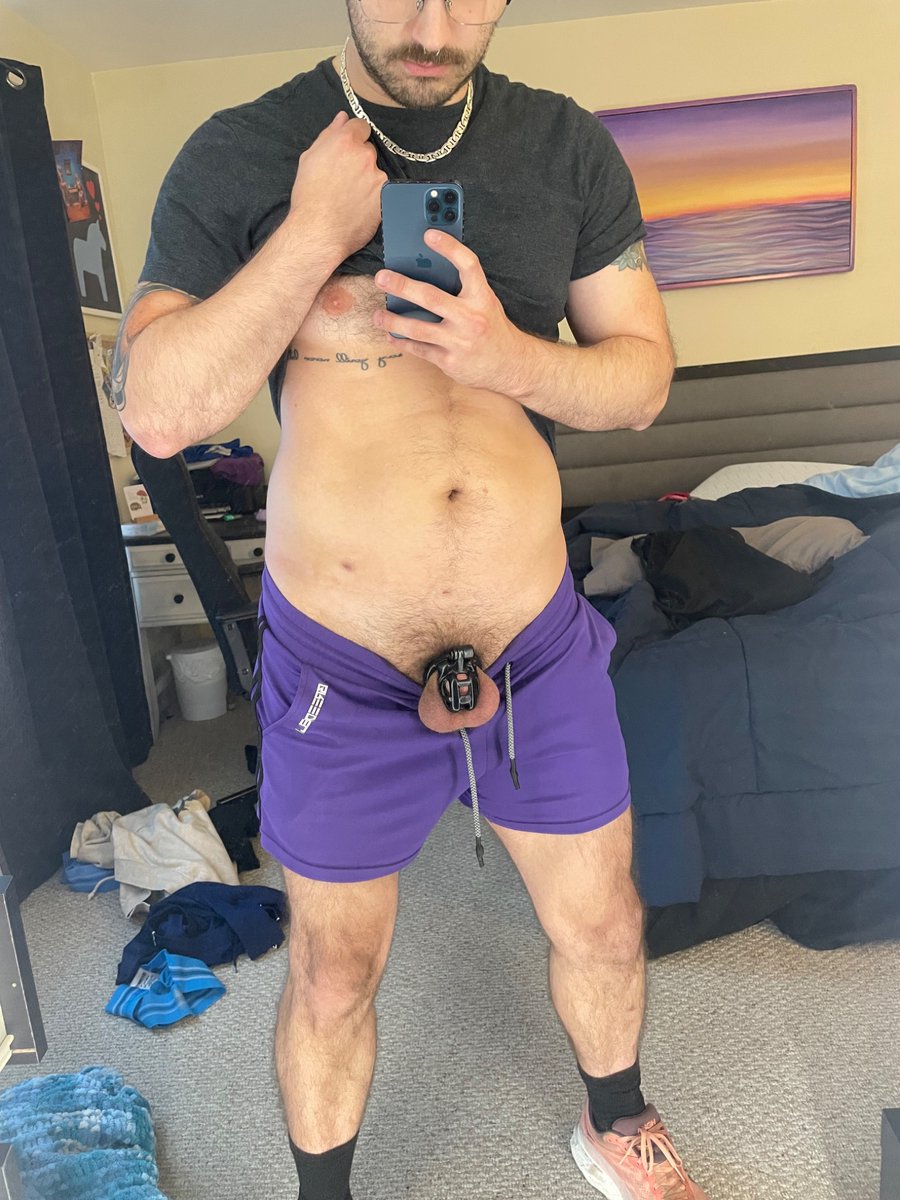 Pup Noel tweet media