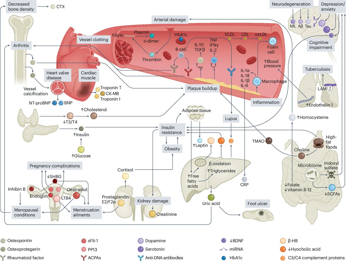 NatureNano's tweet image. Wearable biomolecular sensing nanotechnologies in chronic disease management.

The review examines body-interfaced nanomaterial-enabled wearable #sensors for chronic #disease monitoring, their form factors, &amp;amp; challenges for transformative applications. 

nature.com/articles/s4156…