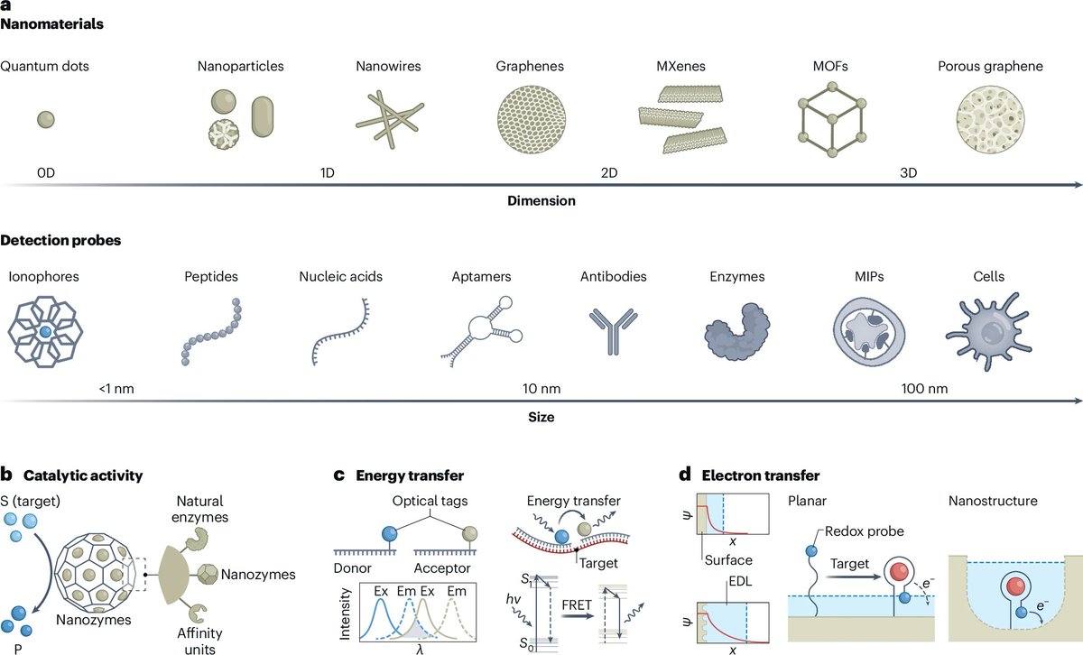 NatureNano's tweet image. Wearable biomolecular sensing nanotechnologies in chronic disease management.

The review examines body-interfaced nanomaterial-enabled wearable #sensors for chronic #disease monitoring, their form factors, &amp;amp; challenges for transformative applications. 

nature.com/articles/s4156…