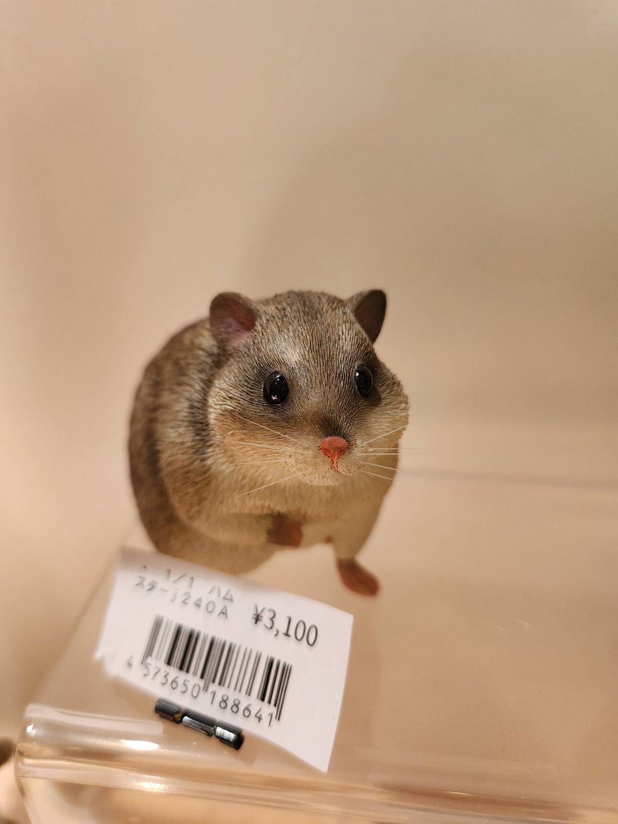 文教堂淀屋橋店 on X