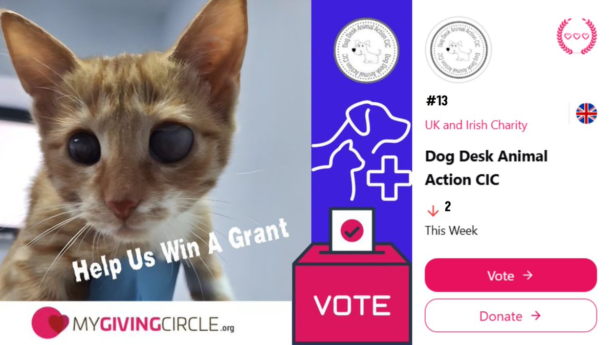 DogDeskAction's tweet photo. 🚨 Little Troy has dropped another place in the grant round 😭why are people not voting for him?
He needs 6⃣4⃣ votes to get back up to position 12
https://t.co/4WdRNs6HqX
Its FREE but you can donate for extra votes which go to Troy too!
#VoteForTroy #AnimalRescue https://t.co/g6hnDg2A5s