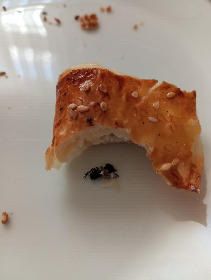 Yine bir skandal daha börekten bakın ne çıktı