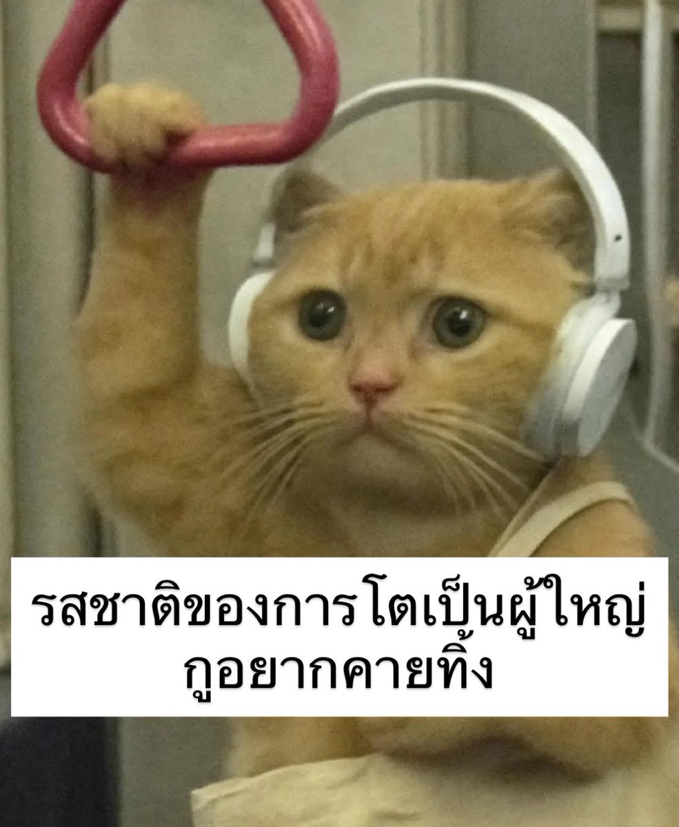 หวานเป็นลม ขมคือชีวิตกู 555555555555555
