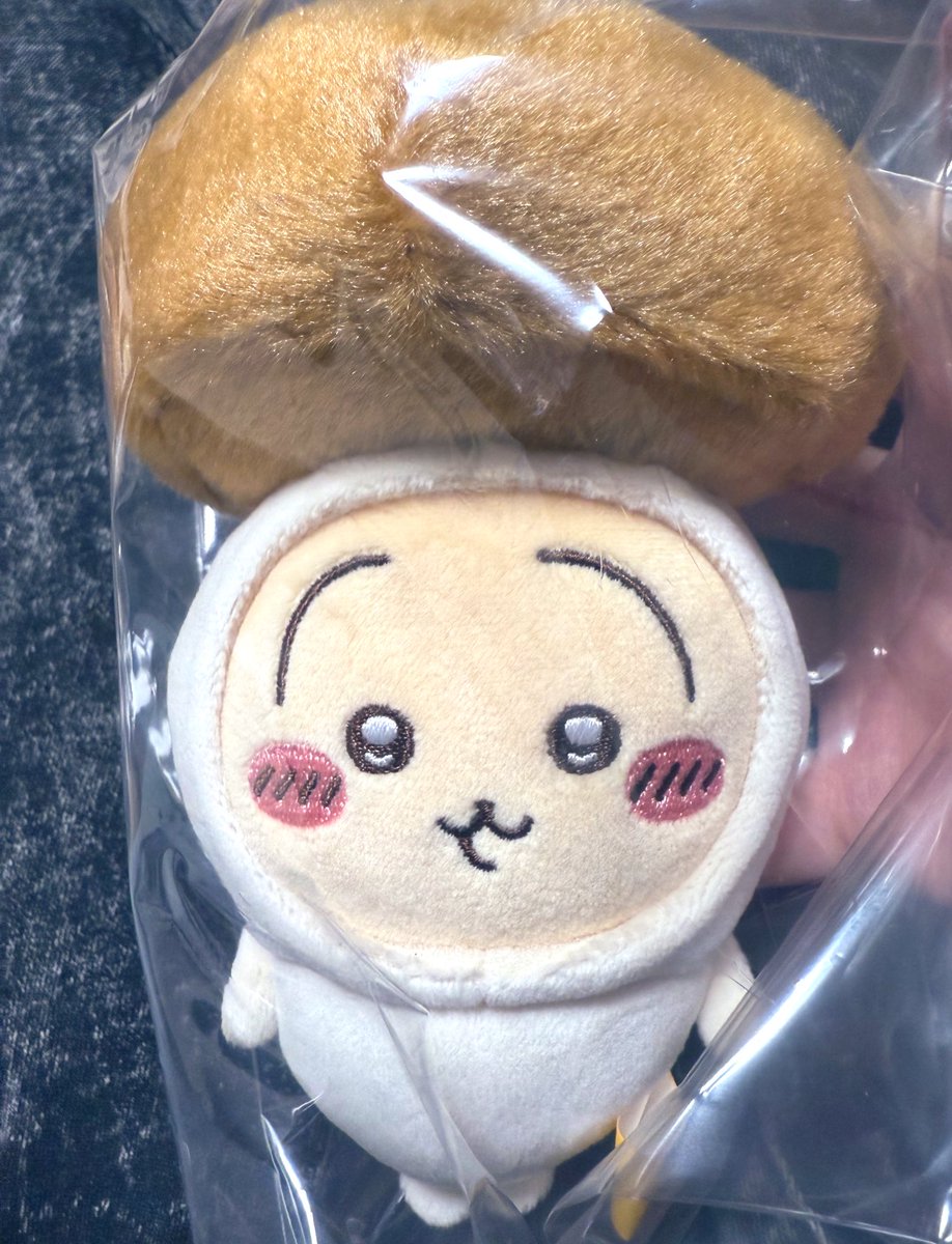 収穫の秋🍁🍄🌰
どんこプルャ凄い🍄‍🟫