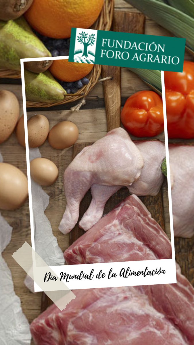 🌍 En el #DíaMundialDeLaAlimentación, la Fundación Foro Agrario celebra su esencia: pensar, debatir y actuar en favor de una alimentación vinculada al territorio, la ciencia y la sostenibilidad