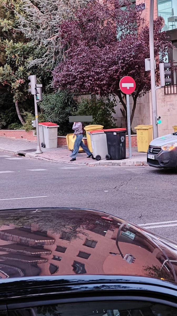 MadridFree tweet media