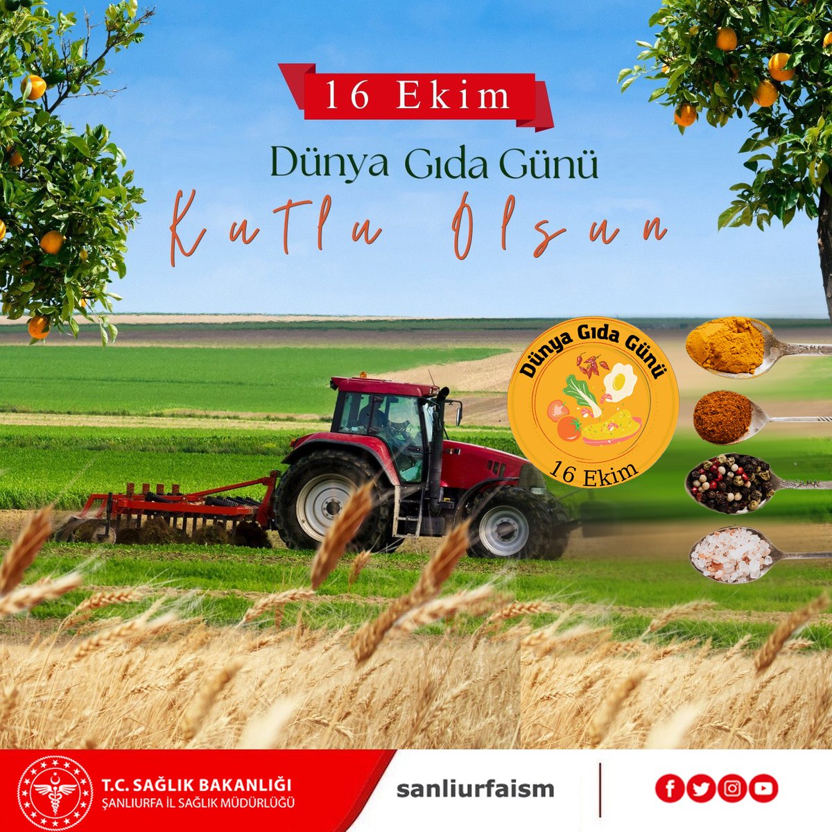 🌍🍞 16 Ekim Dünya Gıda Günü
Dünyada milyonlar açlıkla mücadele ederken, her yıl milyonlarca ton gıda çöpe gidiyor.
Bir lokmanın bile kıymetini bilelim, israf etmeyelim.

#GıdaİsrafınaSon #GıdaHerkesİçin
