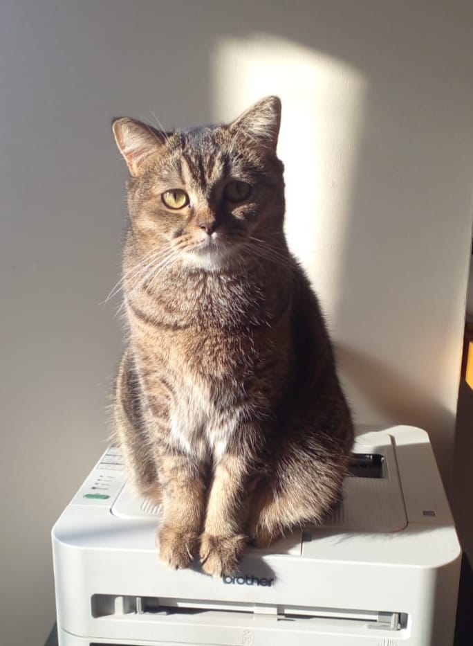 Minnoş bir bakışla güne başlıyoruz.

#Günaydın