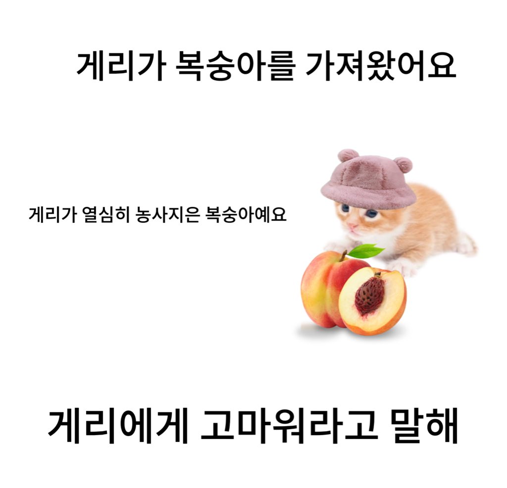garyKorea__'s tweet photo. 게리에게 고마워라고 말해 🍑 https://t.co/XlFXRLvzas