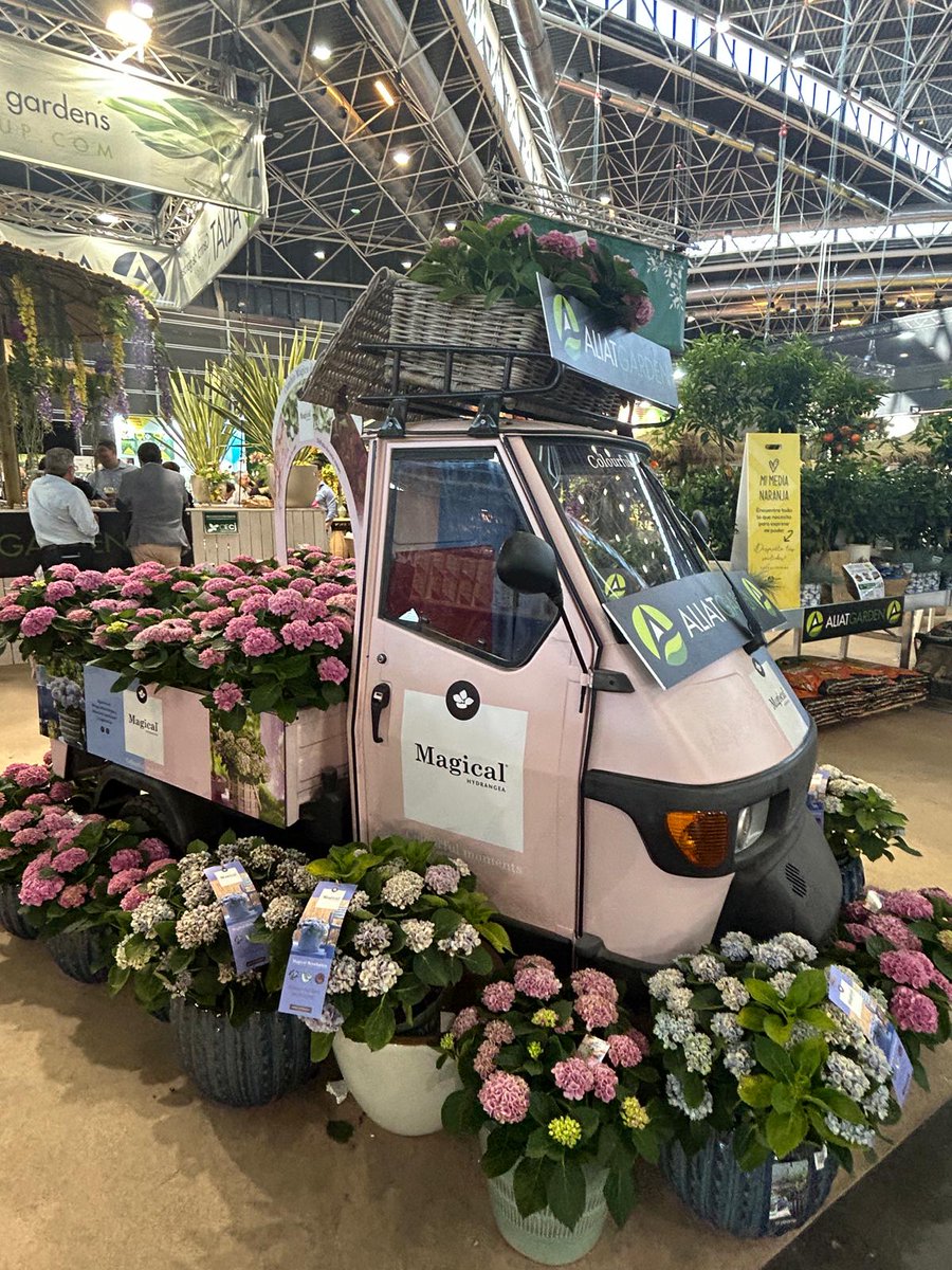 eyasaez's tweet photo. ¡Iberflora 2025 en València es un éxito rotundo! 🎉🌱

Muy contentos con el desarrollo del Plan de Marketing. ¡Y nuestro trabajo en Marketing de Influencia ha hecho match!

Es genial ver la feria llena de vida y engagement. ¡Objetivo cumplido! https://t.co/wbMMAzBTw2