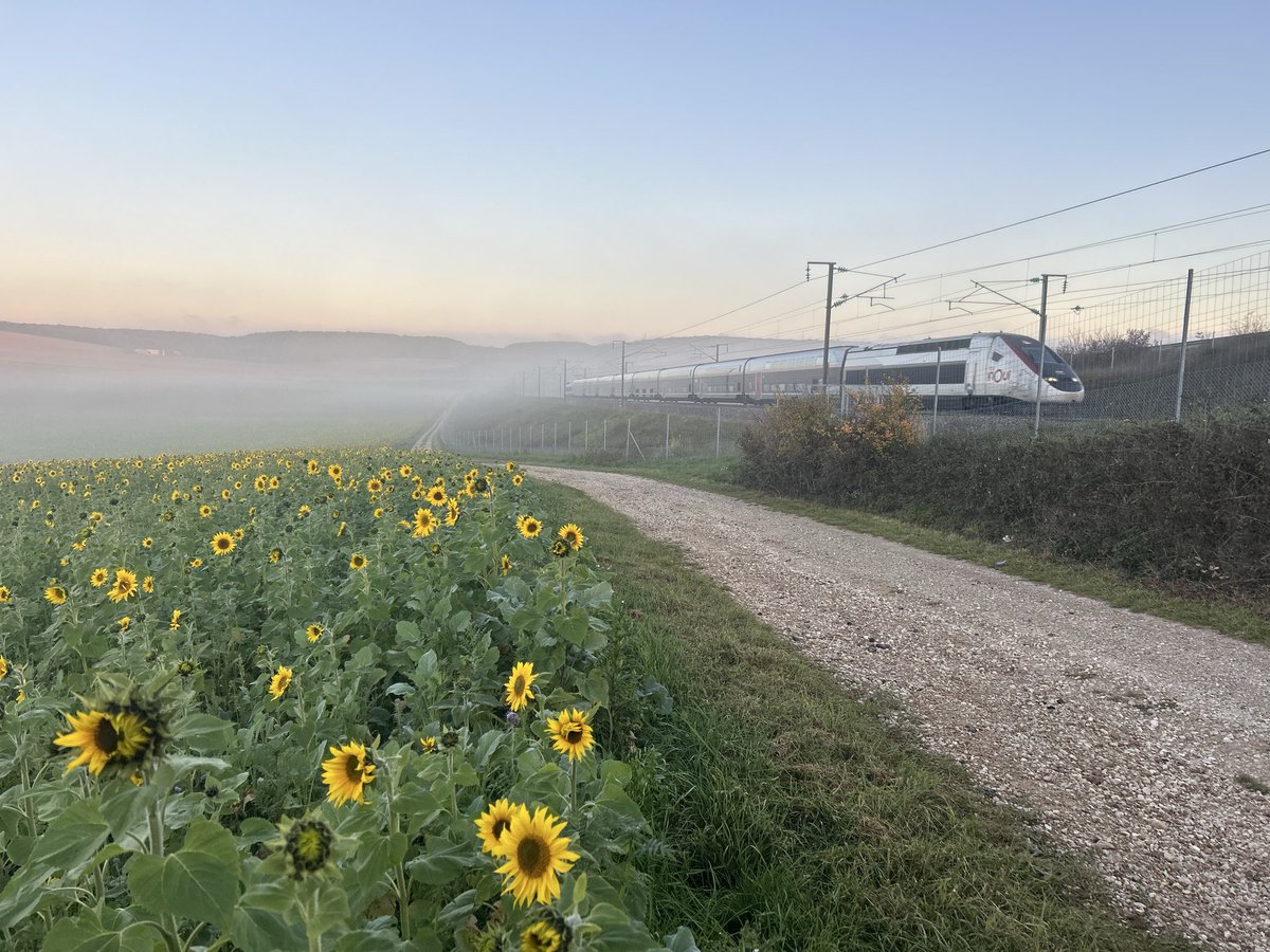 Pas trop de nappes de brouillard <a href="/wallygatore07/">Chris</a> ? 👀 
Est ce que <a href="/TGVINOUI/">TGV INOUI</a> adapte sa vitesse à cette visibilité réduite ?
#pk108