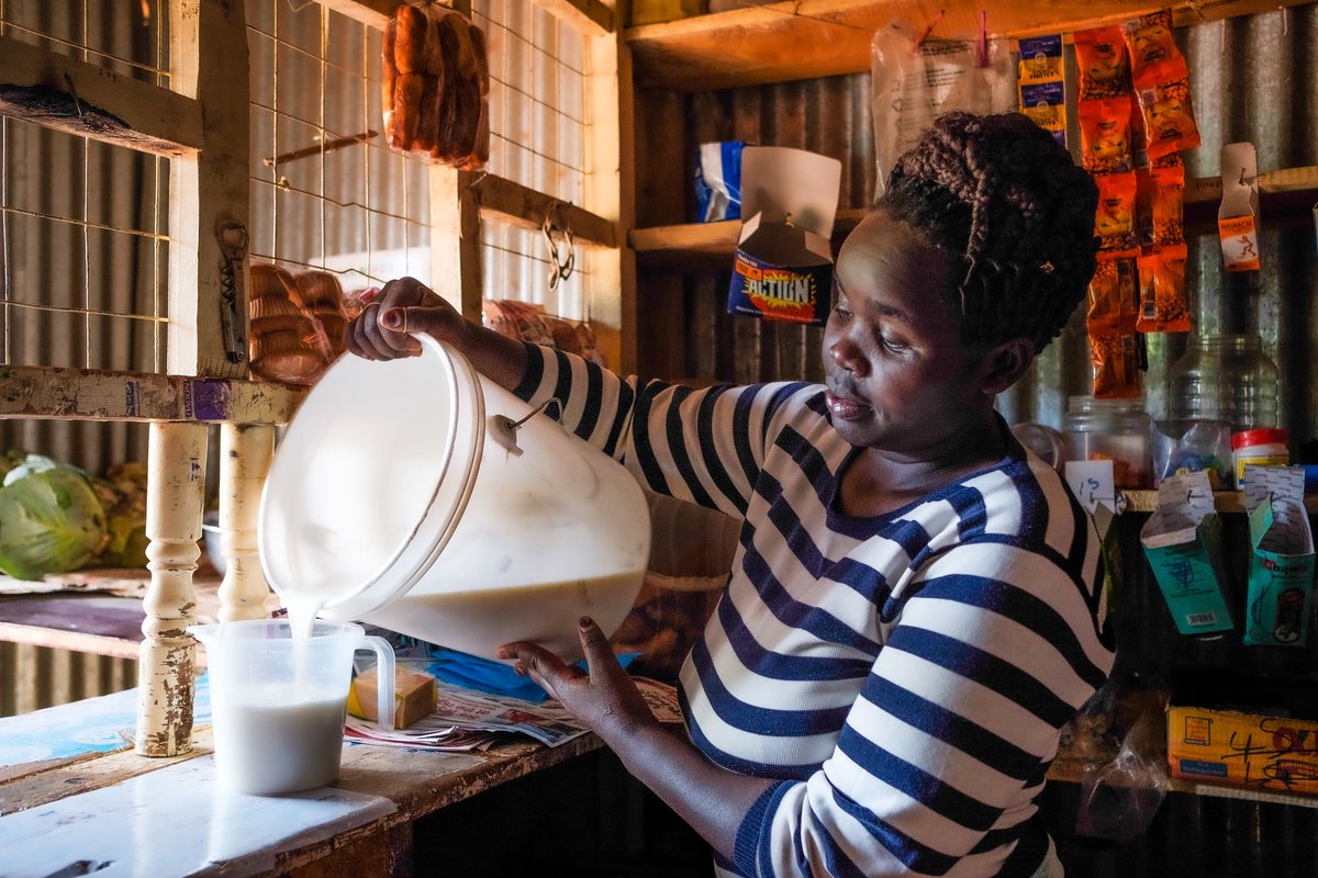africabusiness4's tweet image. Major milestone for East Africa’s dairy sector! The $358M #DaIMA programme, led by @IFAD & @theGCF, is transforming dairy systems in 🇰🇪🇷🇼🇹🇿🇺🇬 — boosting milk output by 34% while cutting 2.1M tonnes of CO₂.
A model for low-emission, climate-resilient agriculture. 🌿🥛…