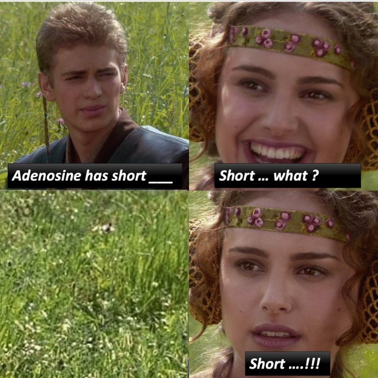 Hassan ❌ tweet media