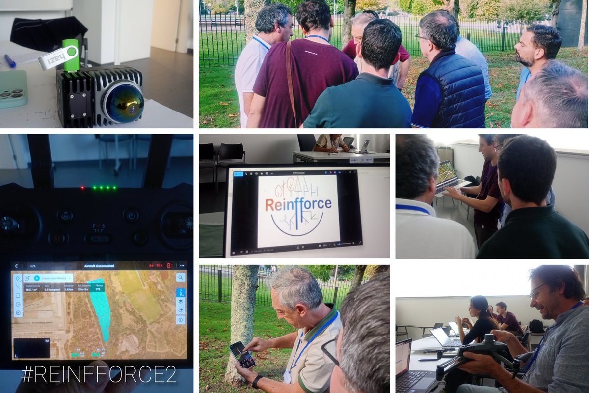 AHwoodtrees tweet media