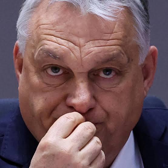 ntprofiler's tweet image. La hyène va couiner👇
👏Le premier ministre hongrois Viktor Orban a annoncé samedi le lancement d’une collecte de signatures “contre les plans militaires de Bruxelles”.
“Nous serons dans chaque ville et chaque village, car nous avons besoin de chaque Hongrois épris de paix”