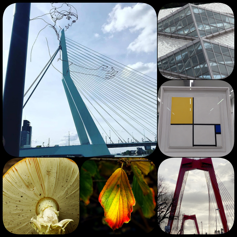 Vandaag gaan we op zoek naar #lijnen_en_lijntjes bij #fot_O_ktober.
<a href="/jolandabrwr/">JoLaNDa_hobbyfotograaf</a>