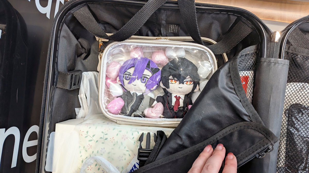 amhynui's tweet photo. キャリーに戻ってフライトを待つあまはや✈️ https://t.co/XoRbPk4c78