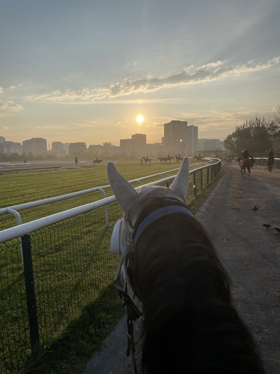 Szercelk's tweet image. Günaydın bursa ☀️🐴