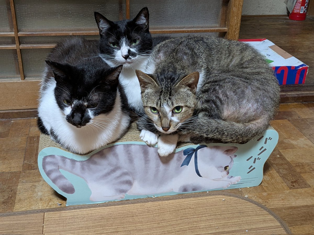 take_kumi's tweet photo. 最大積載量 https://t.co/3crcvBtPUU