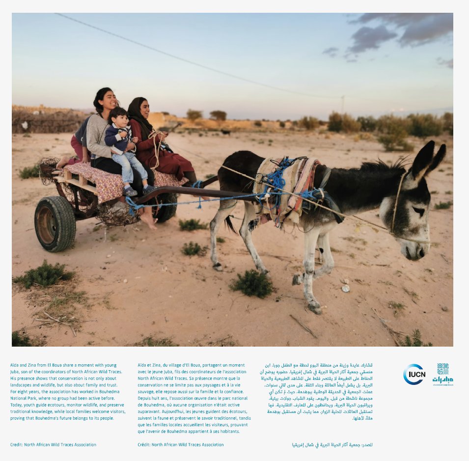 IUCN_Med's tweet image. 🌿 MUBADARAT: Civil society at the heart of conservation in North Africa.  Celebrating women and youth driving nature conservation through 20 inspiring stories from across North Africa. 💚 #Mubadarat #IUCNcongress #NatureForAll #youth
🔗Know the stories: bit.ly/4heCtHY