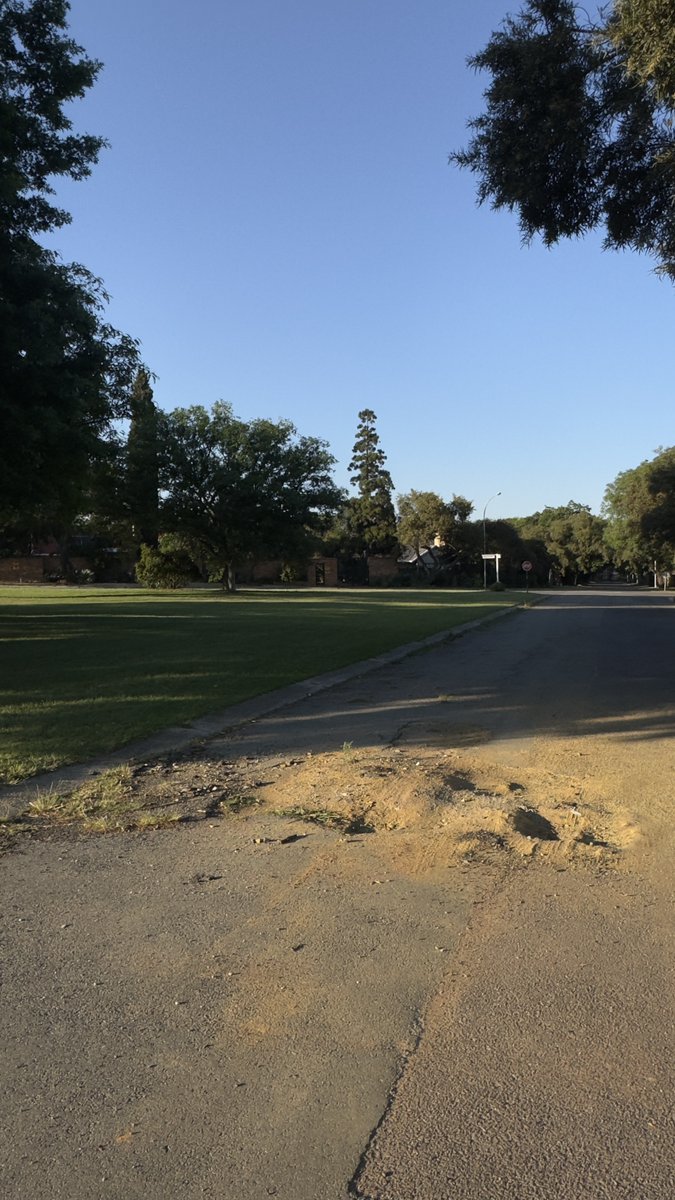 Sam Choles 🐝 tweet media