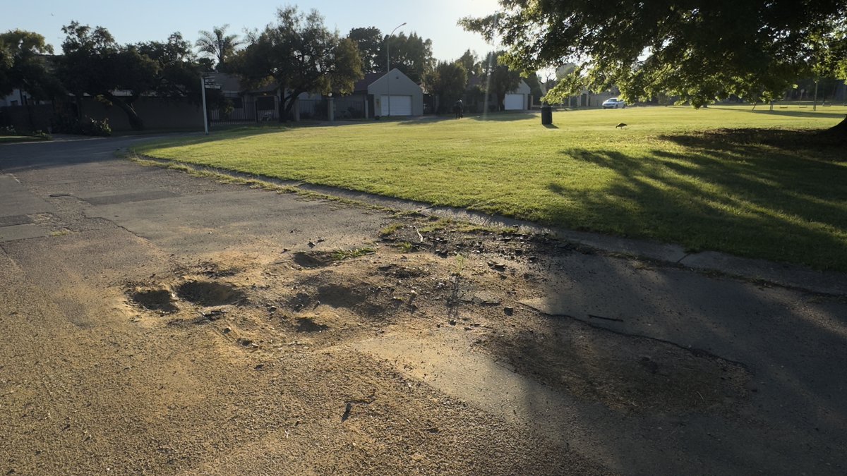 Sam Choles 🐝 tweet media