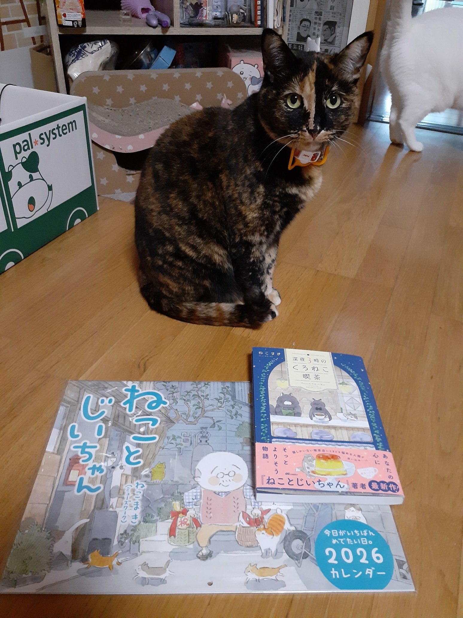 はるるん (@RNPrJ9xfX3PSoaA) / X