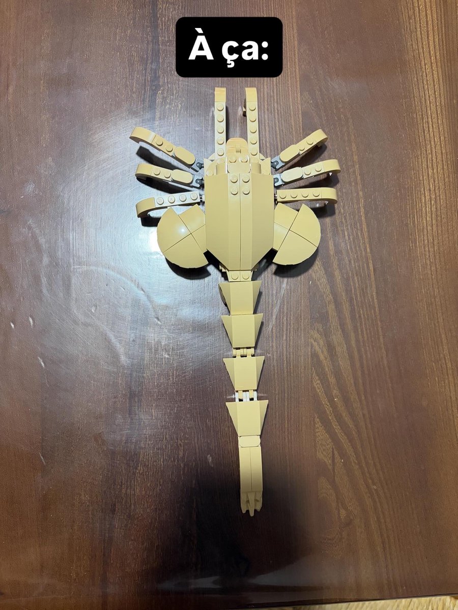 Pour les fans d’Alien!!