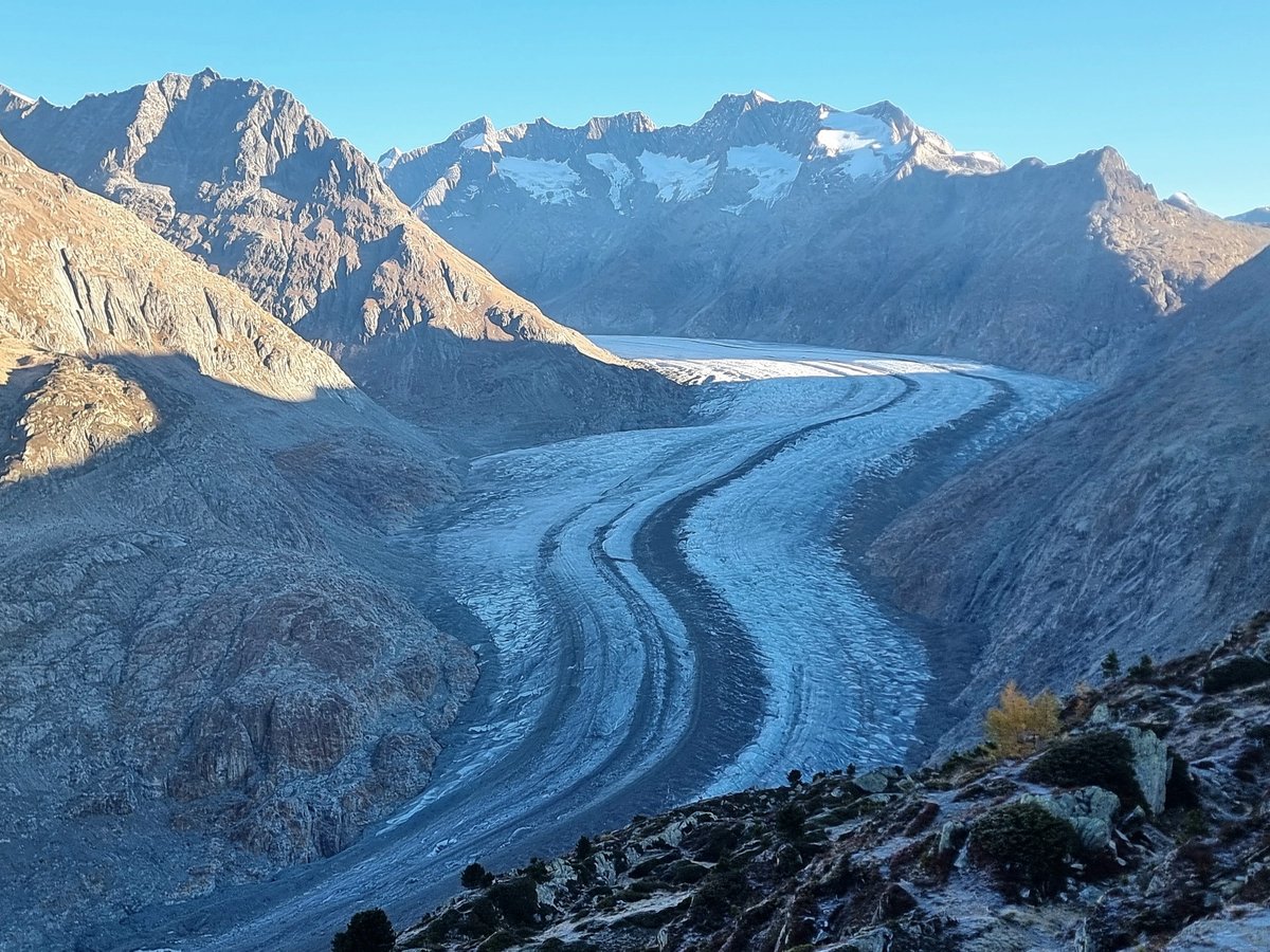 subfossilguy's tweet image. Morgen Aletsch! 🤩
So sad to see you thinner each year! 😭