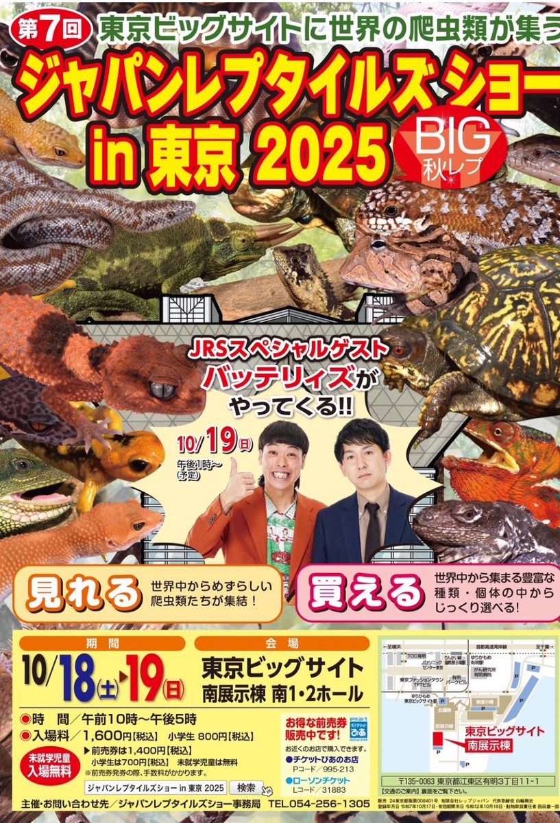 Ballpython_JP's tweet image. イベント情報

来る１０月１８日（土）１９（日）は東京ビックサイトにて、JRS・BIG秋レプが開催されます

１９日（日）には、特設ステージにて

Japan Ballpython Breeders Conference  が　初開催！

ボールファンの熱気に包まれる事と思います♪

詳しくは下記にて↓

@jbbc_X