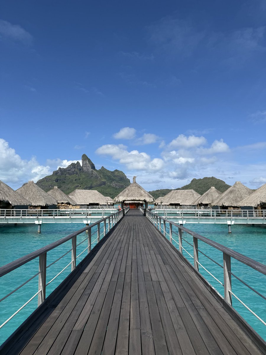 Miguel 🦕 tweet media