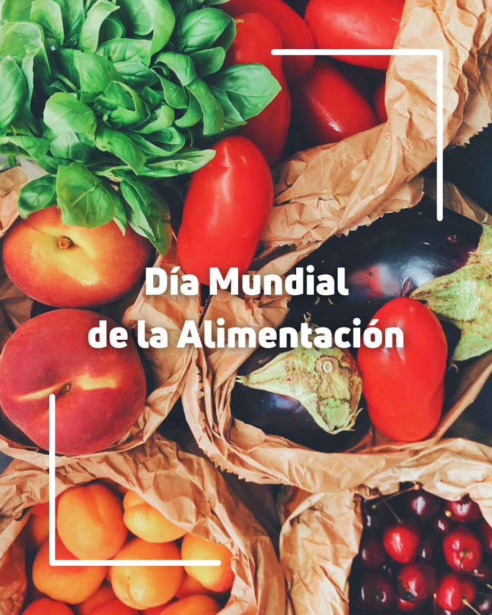 Cada producto que desarrollamos busca un mismo objetivo: cultivos más sanos, alimentos de mayor calidad y un futuro sostenible para todos.

En este Día Mundial de la Alimentación recordamos que cuidar la tierra es cuidar lo que llega a nuestra mesa. 💚