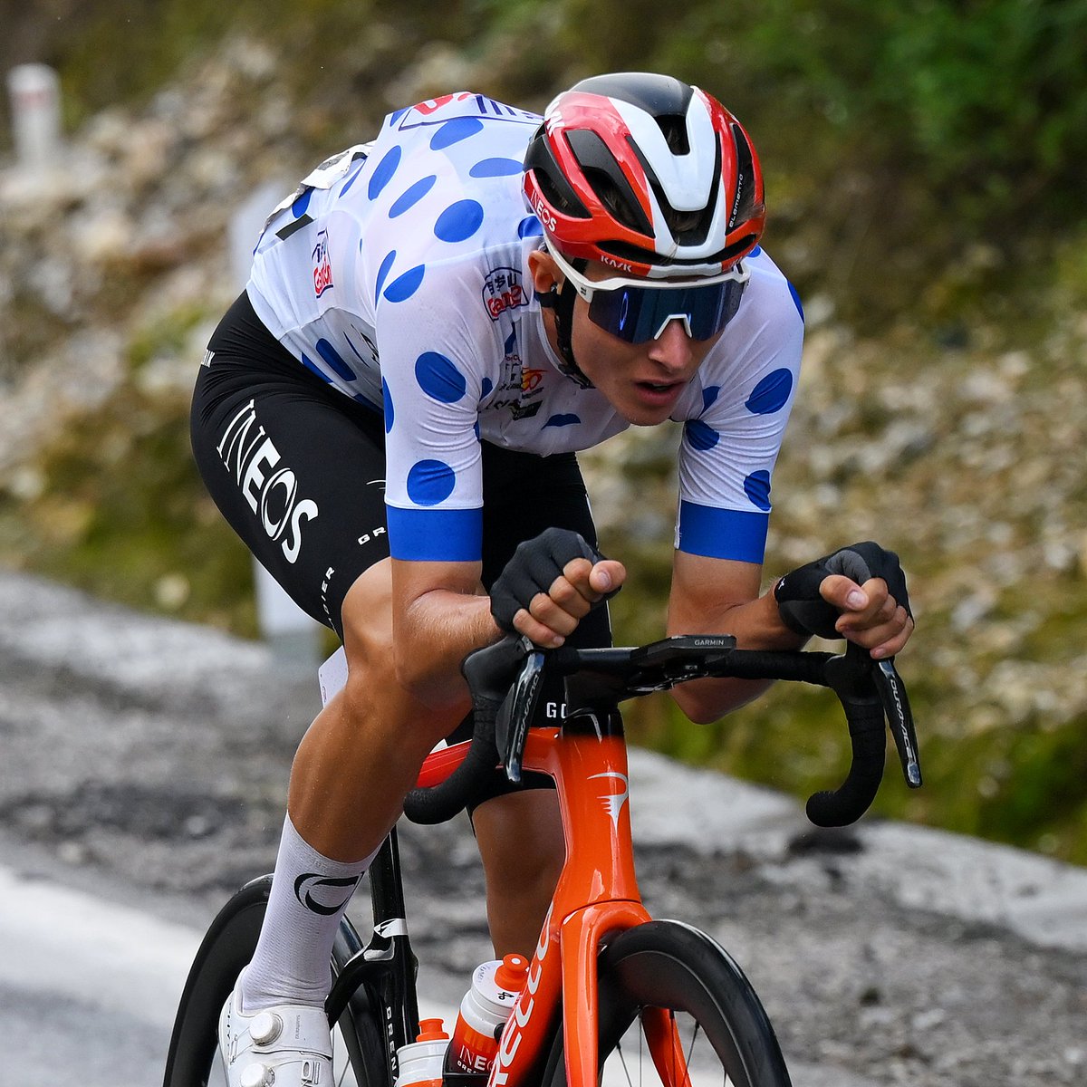 INEOS Grenadiers tweet media