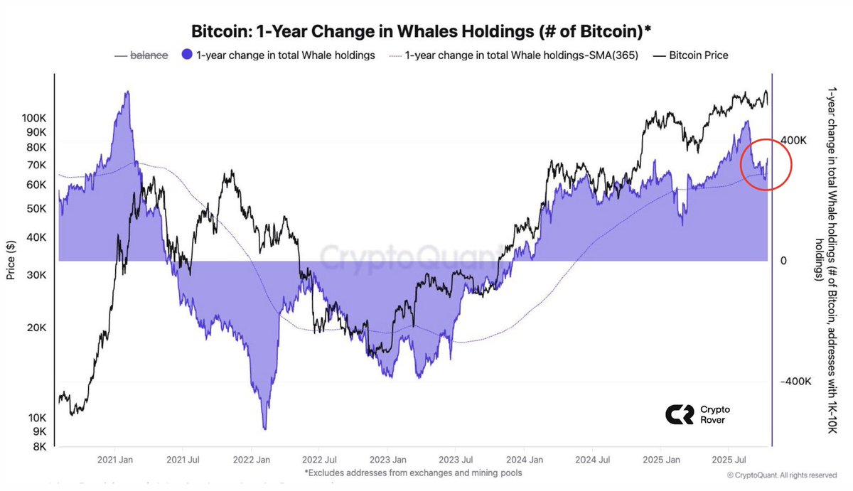 WHALES ARE BUYING #BITCOIN AGAIN!
