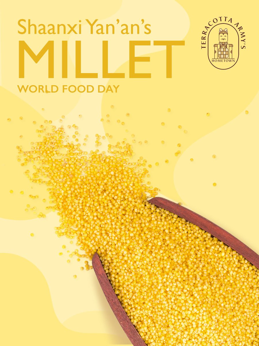 Today is World Food Day!
In Yan’an, Shaanxi, the resilient “golden grain” grows strong on the Loess Plateau. 🌾With improved seeds and green farming, Yan’an millet now produces around 35,000 tonnes each year, exported worldwide and made into millet crisps, vinegar and wine.