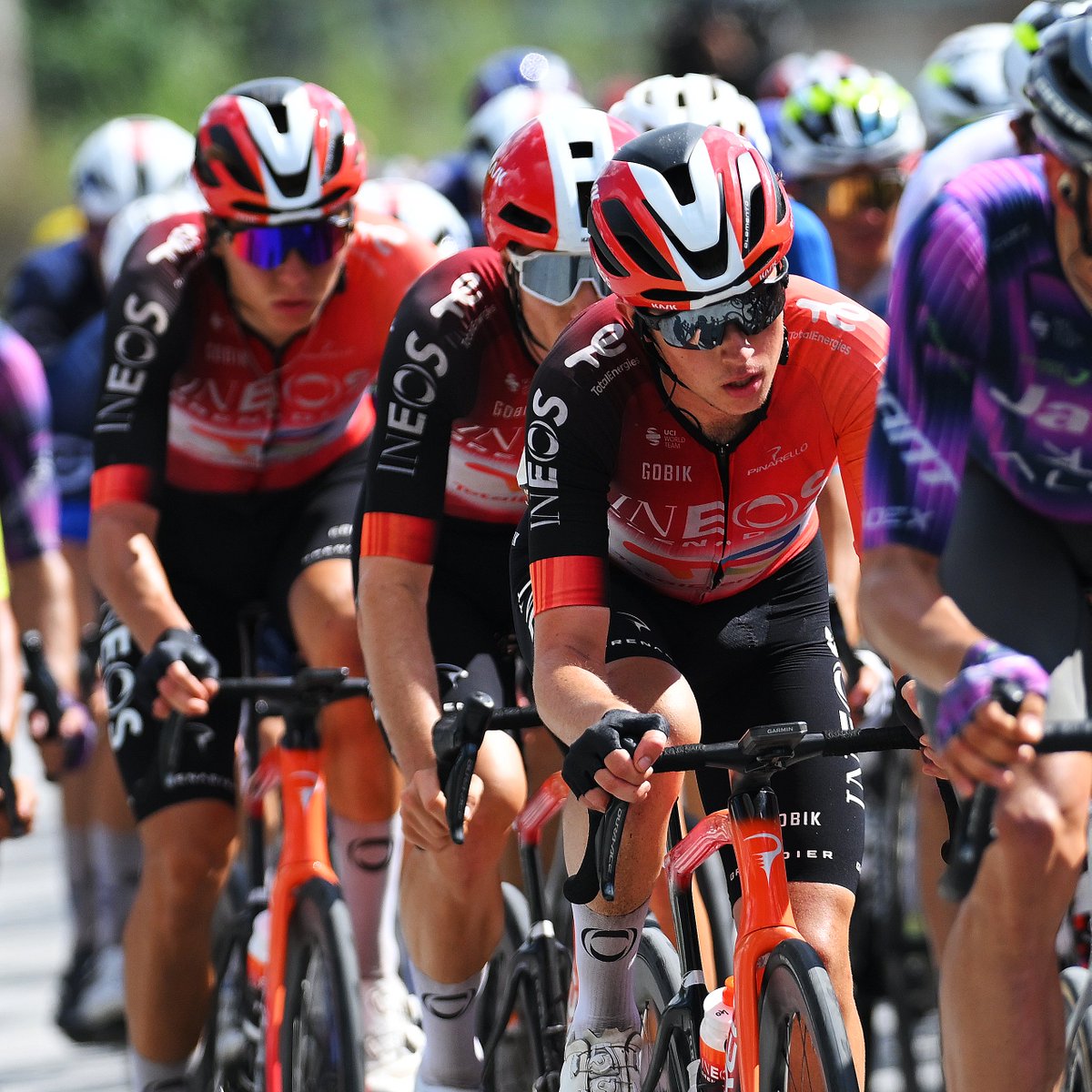 INEOS Grenadiers tweet media