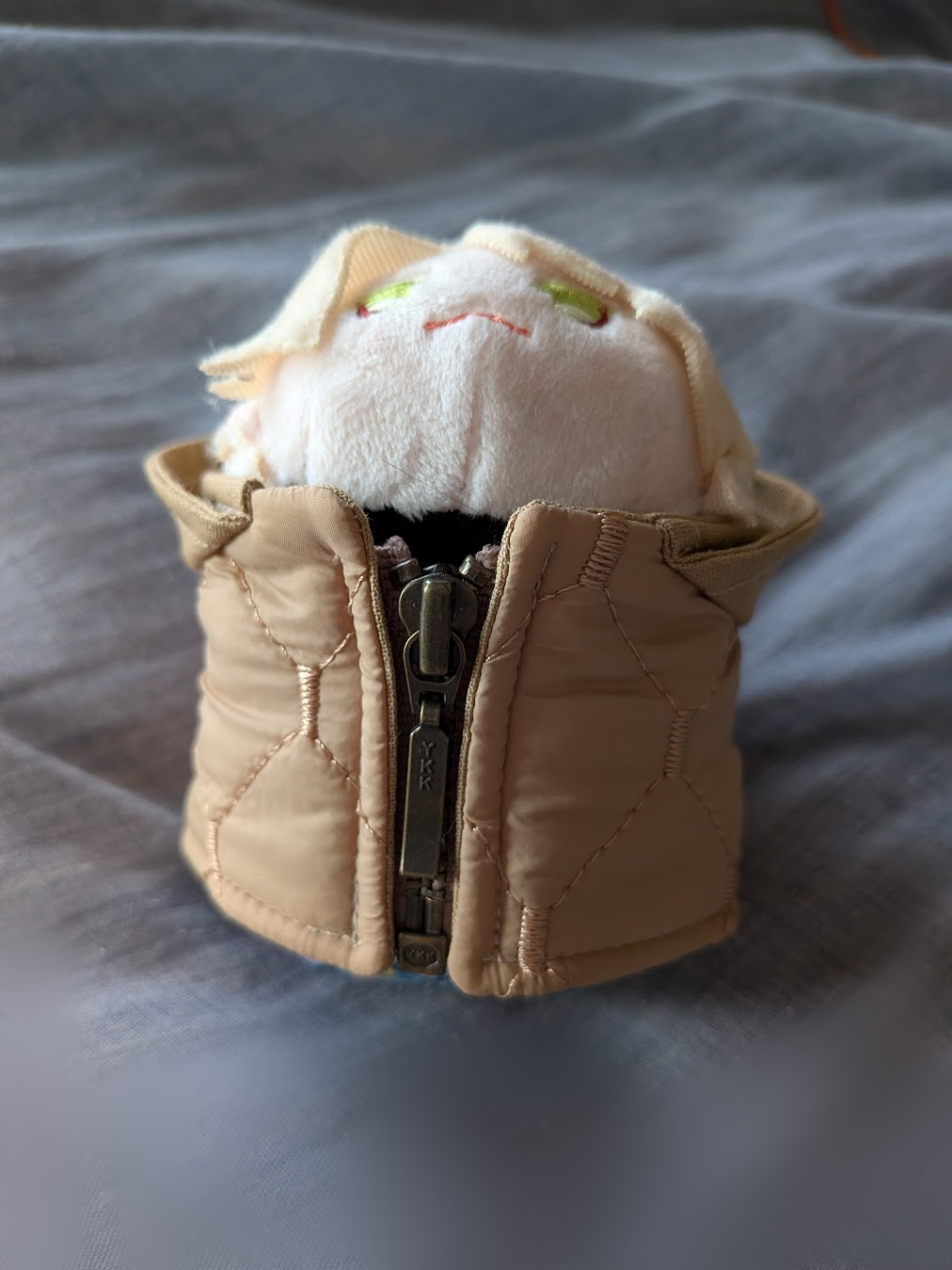 専用⭐みかん❤極暖Wボア❤特大ブランケット⭐猫ちゃん 専用⭐みかん❤極暖Wボア❤特大ブランケット⭐猫ちゃん あさがお🐱