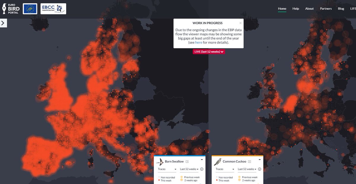 🐦‍⬛🐦Esta plataforma europea (<a href="/EuroBirdPortal/">EuroBirdPortal</a>) recopila en un único espacio datos agregados de aves de toda Europa. Gracias a ello podemos conocer cómo se distribuyen y sus patrones de migración ➡️bit.ly/46KTF49