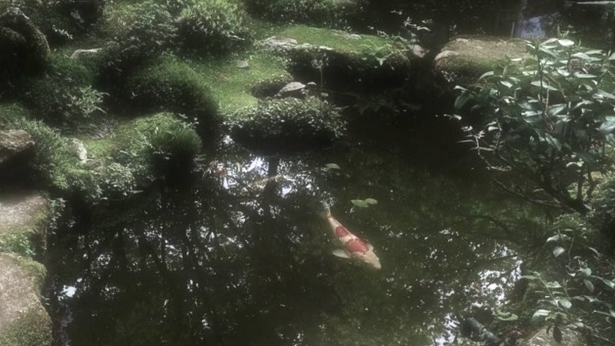 PR0DHEE's tweet photo. garden fairy — heeseung 𓏲⋆ ִֶָ ๋𓂃 https://t.co/MPH20l2peU