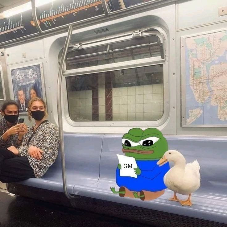 Gm to those who say Gud morning ☀️

Don’t forget to pivot to @wallchain_xyz today.