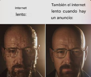 No sense